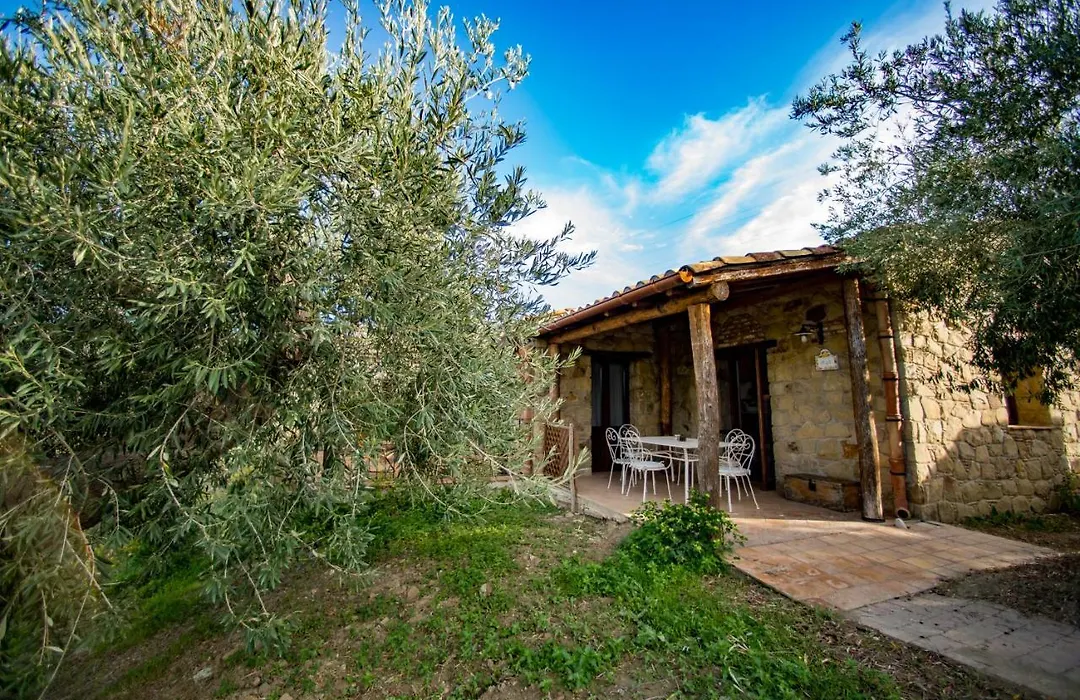 Poggio Pozzetti-1